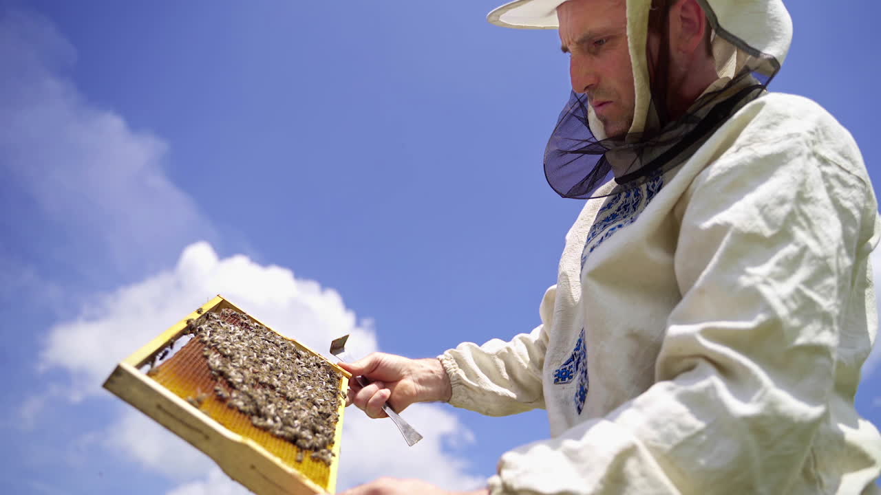 Beekeeper against blue sky. Male apiculturist in protective hat looking at the bees frame in bright summer day.