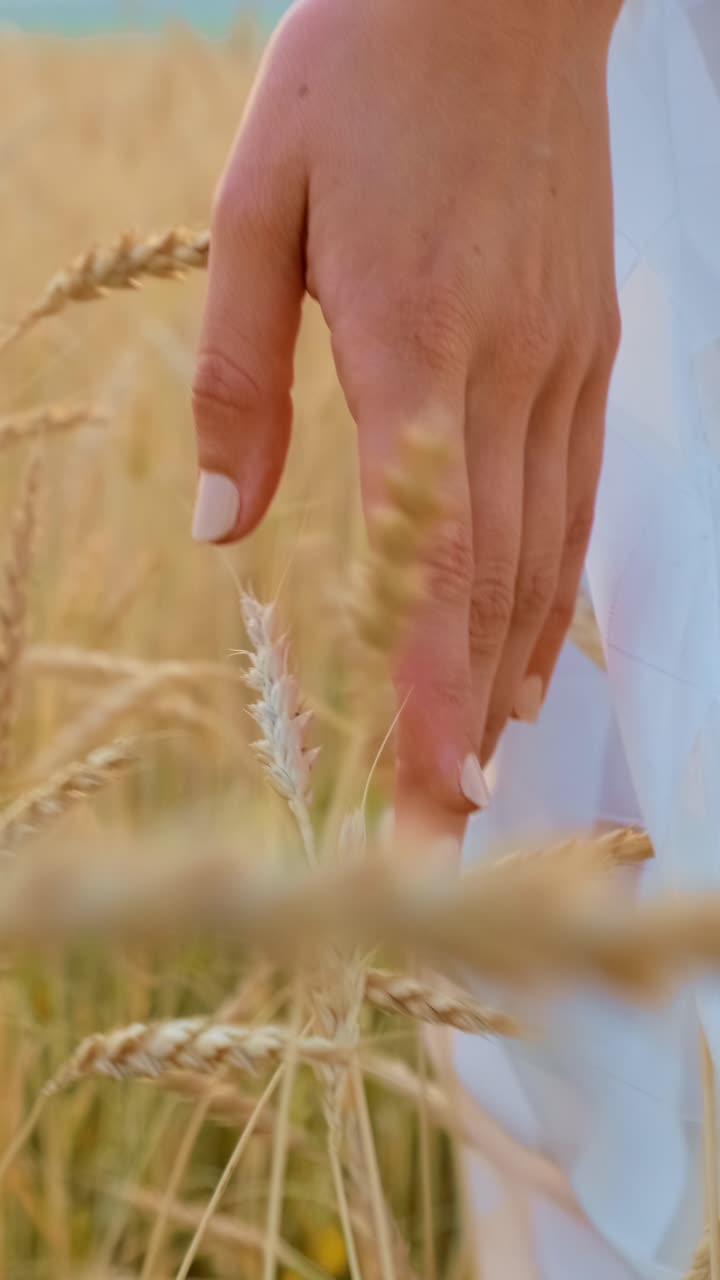 Hand of a woman in a flowing white dress gently touching golden wheat in a serene field at sunset