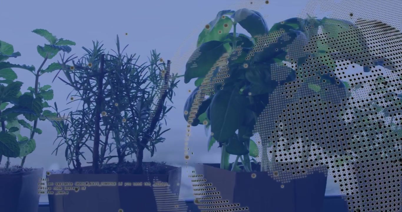 Tech overlay appearing right moving across pots occluding with globe nodes or code showing plant dat
