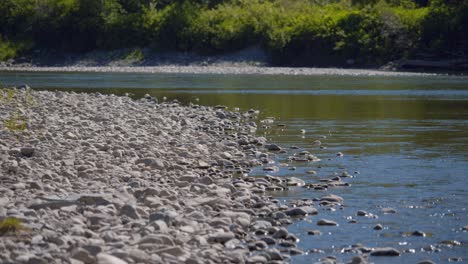 pebbles by the river 1