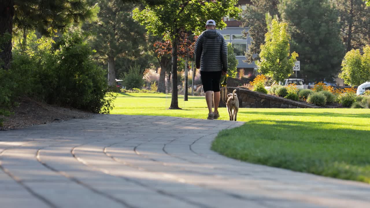 un hombre camina solo con su perro por un vibrante parque de la ciudad en 4k
