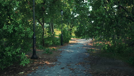 Empty-footpath-in-park-at-summer