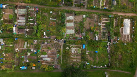 Communal-garden-divided-into-small-sections-in-Helsinki,-Finland