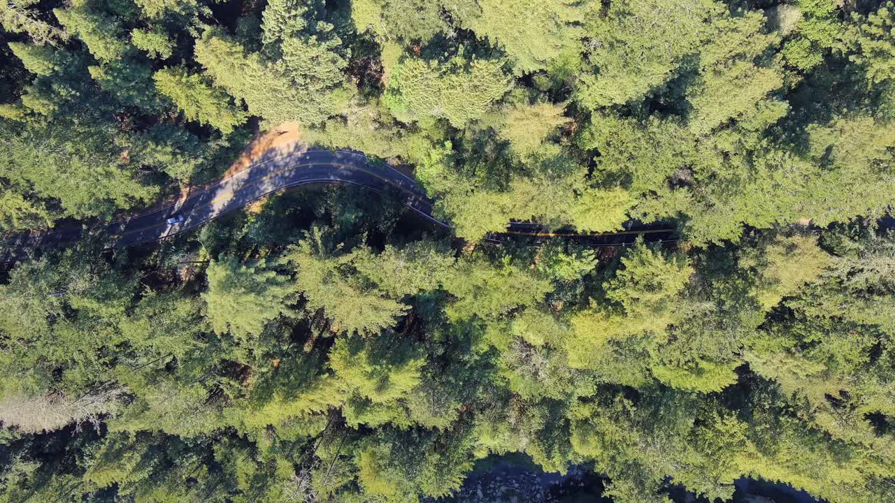 coches circulando por un camino sinuoso en un bosque siempre verde en la cordillera de santa cruz - vista aérea