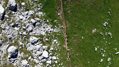 Overhead-Aufnahme-Von-Trailrunnern,-Die-Schnell-Gemeinsam-Auf-Einem-Bergpfad-Laufen