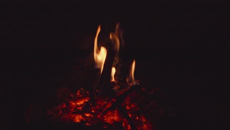 bonfire lights outdoors