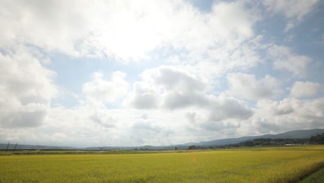 일본 논과 하늘의 시간 경과
