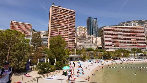 people enjoying the beach and sea