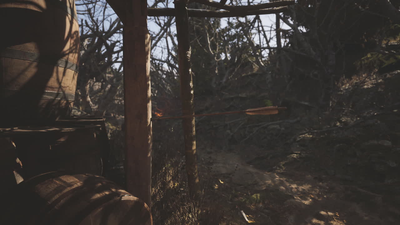 una flecha de madera está metida en un poste de madera en un bosque