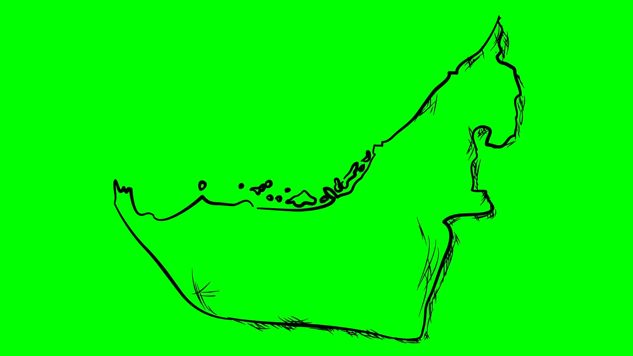 United Arab Emirates drawing outline map on green screen isolated whiteboard
