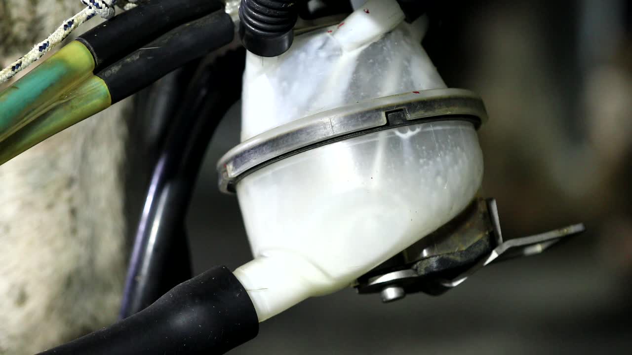 images of cows milked in the parlor