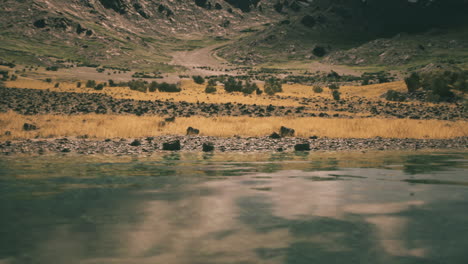 a tranquil lake reflects the rugged mountains and lush grasslands at dusk
