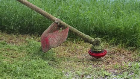 mowing grass with a string trimmer