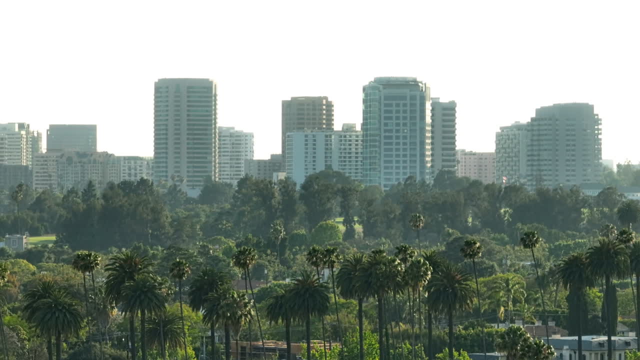 Paesaggio di Beverly Hills, palme contro lo skyline della famosa città di Los Angeles, ripreso con drone.