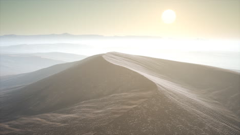 red sand desert dunes in fog