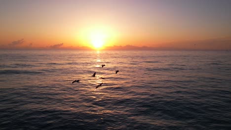 pelicans flying low over waves sunrise aerial