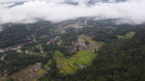 aerial view of lush green rice terraces and rural village