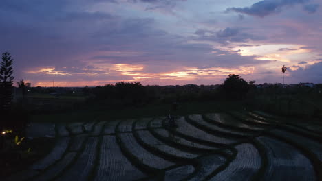 Low-flying-slow-aerial-dolly-shot-of-a-terraced-rice-plantation-paddy-fields-on-the-slopes-of-a-hill-in-Bali