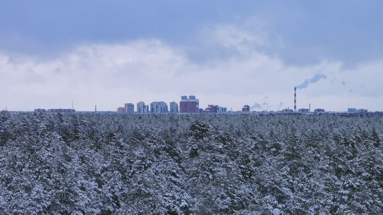Frozen pine forest in foreground contrasts distant Riga skyline and chimneys, 4K