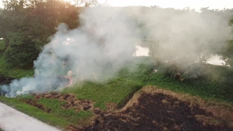 Ardiendo-En-El-Campo-Verde-Durante-La-Hora-Del-Atardecer.