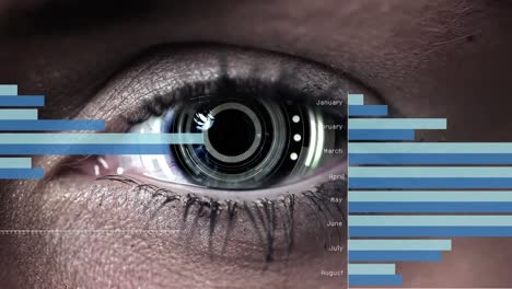 animación del procesamiento de datos estadísticos sobre un primer plano del ojo femenino