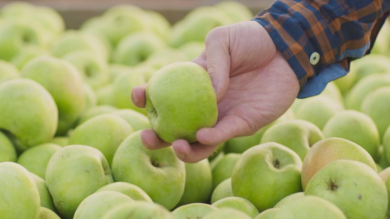 mano sosteniendo una manzana verde entre una pila de manzanas verdes