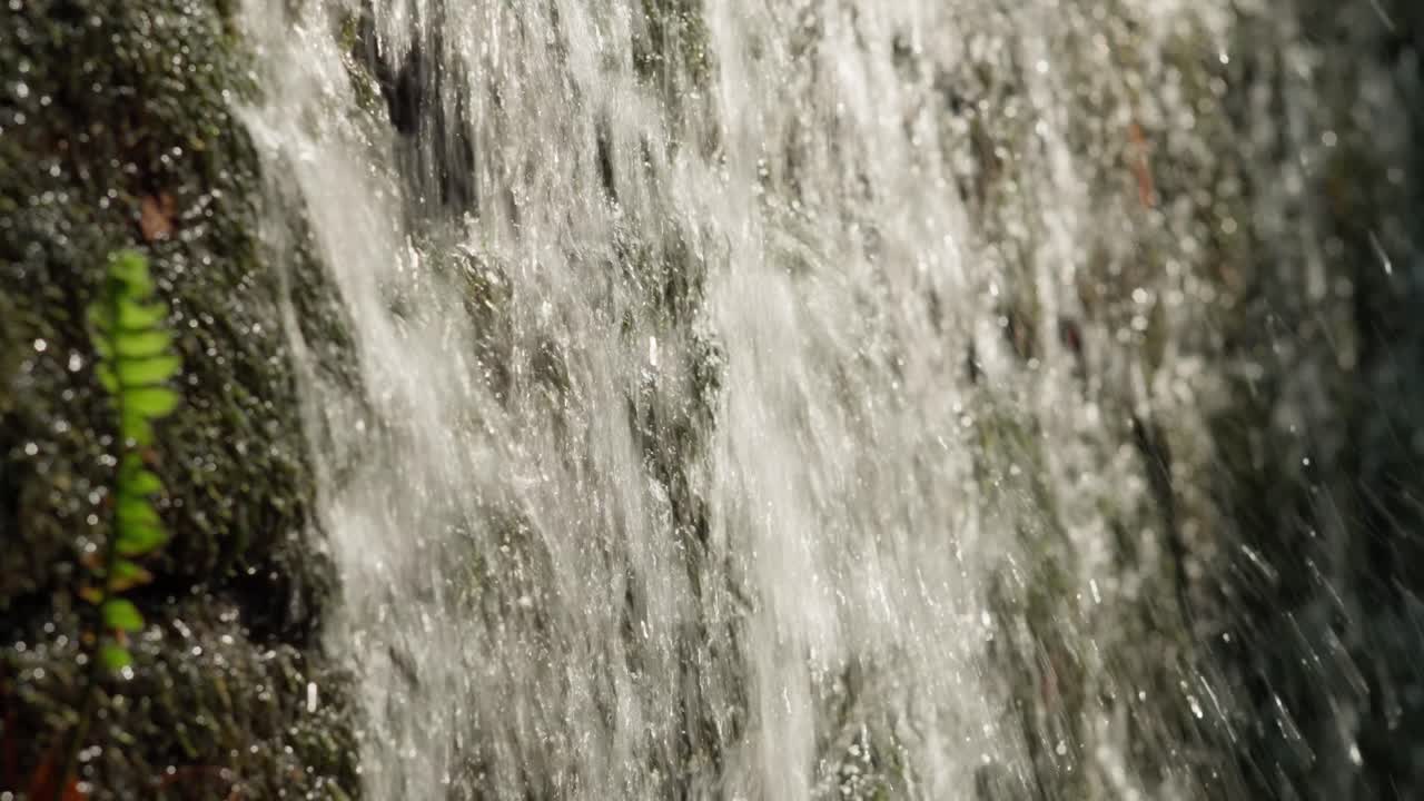 SLOW MOTION SHOT OF A WATER SPRING FLOWING DOWN A ROCK