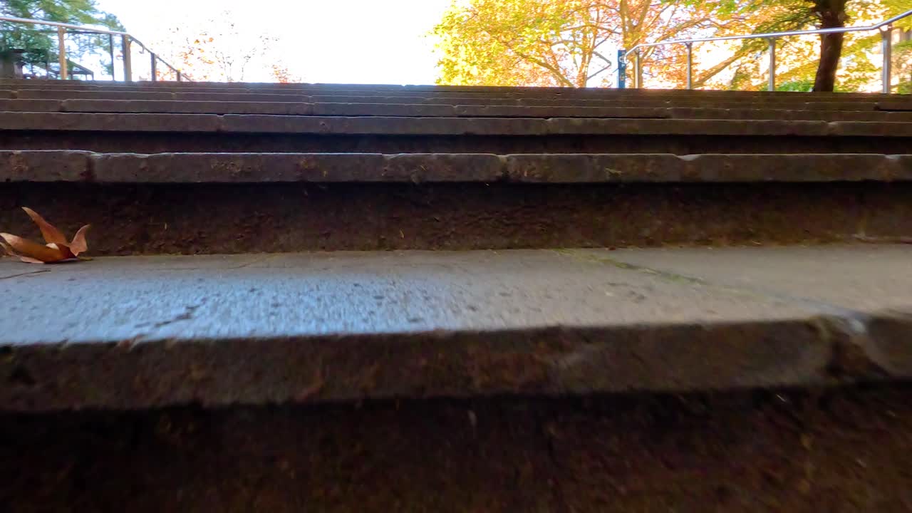 떨어지는 잎과 함께 조용한 캠퍼스 장면