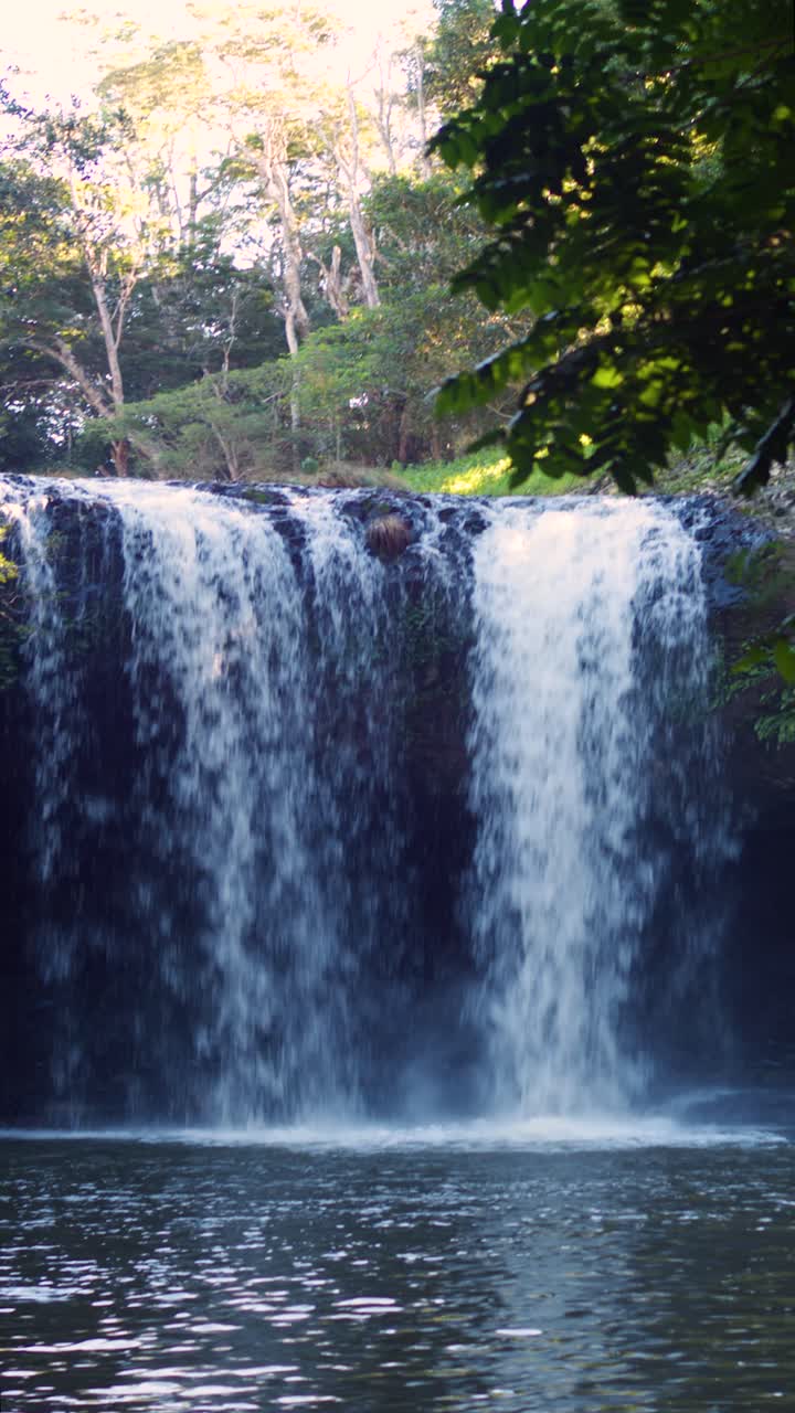 una impresionante toma vertical de una cascada en cascada rodeada de exuberante follaje verde. el agua se vierte poderosamente en una piscina serena debajo, creando un escape natural tranquilo.