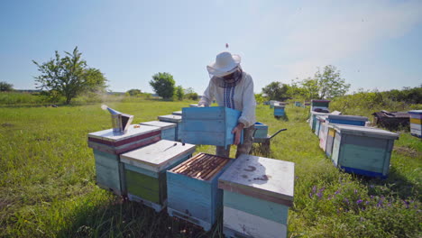 apiculturist near bee houses. male beekeeper in protective hat works with wooden box on the apiary among green nature.