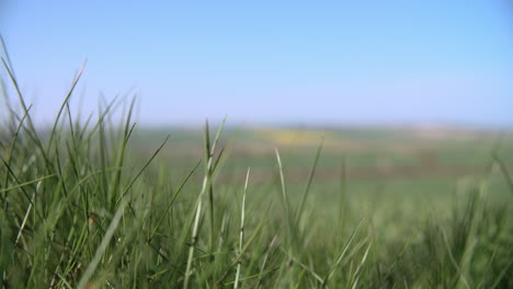 tiro de enfoque tirado de los campos de la granja de verano con cultivos en el reino unido