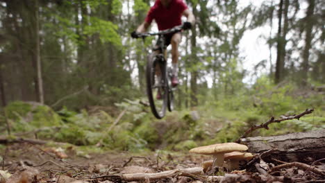 cámara lenta, ciclista de montaña haciendo un salto junto a setas