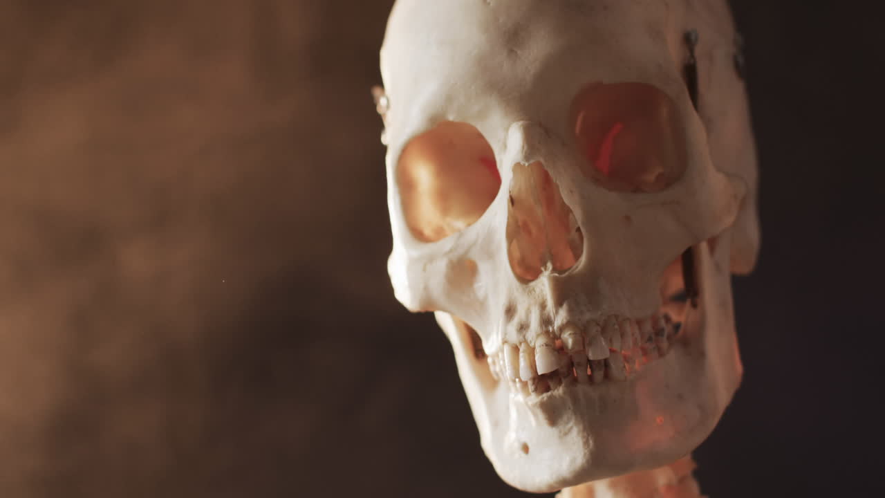 video di close-up del teschio e dello scheletro di halloween e copia lo spazio su sfondo nero
