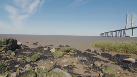 low tide beach in lisbon, portugal. vasco da gama bridge in the distance
