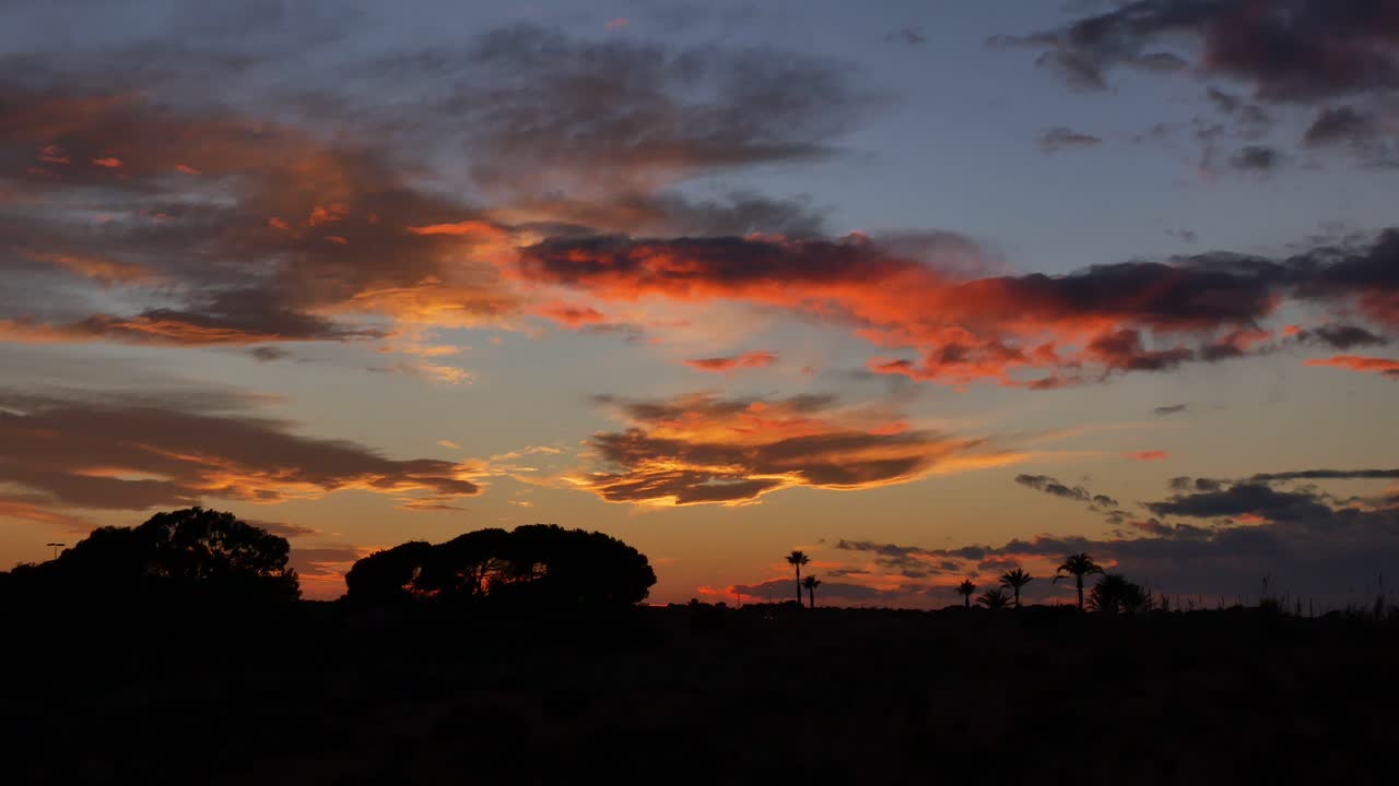 nubes en diferentes niveles y colores moviéndose sobre árboles
