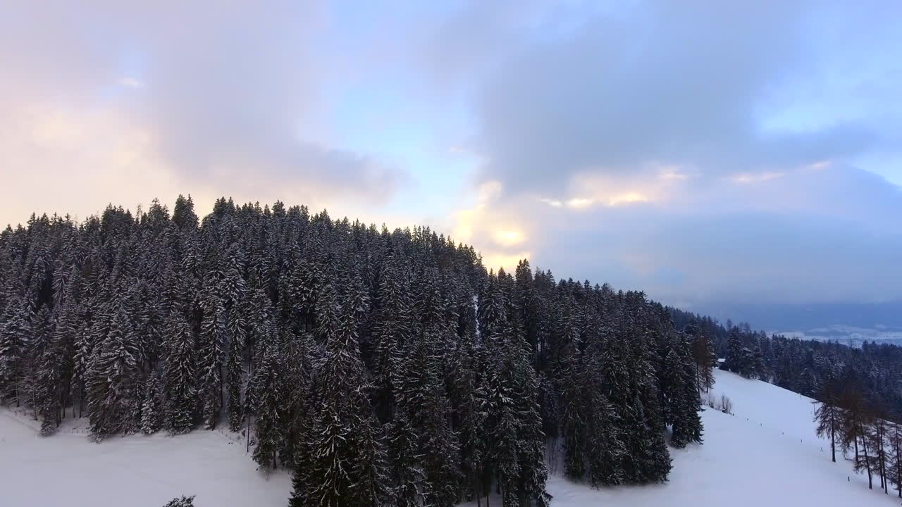 aerial de un bosque en una fuerte caída de nieve