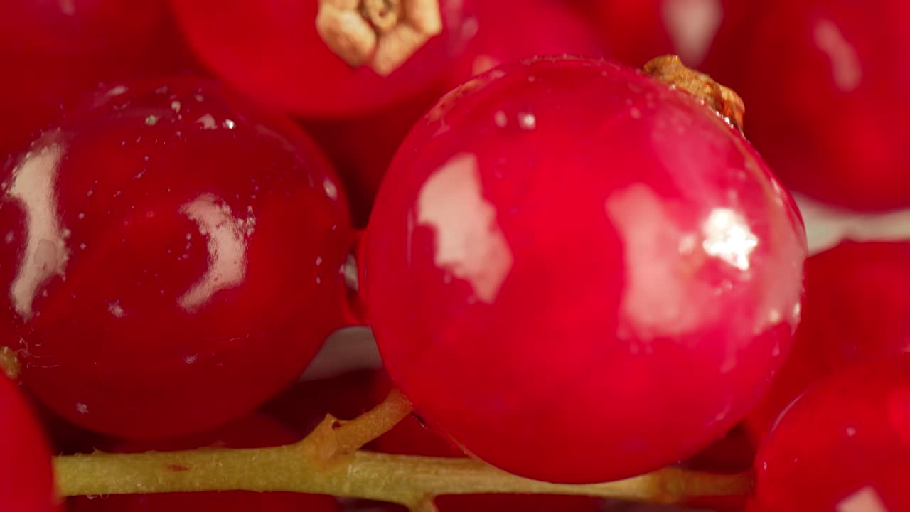 나무 테이블 위에  ⁇ 은 수박의 슈퍼 가까운 매크로.