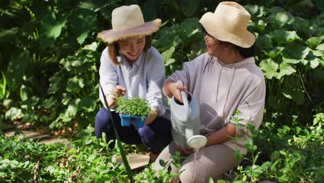 asian mother and daughter gardening together on sunny day smiling