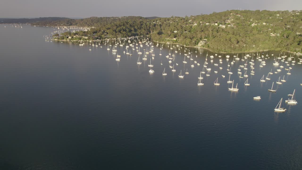 오스트레일리아 nsw 시드니 에 있는 피트워터 의 평온 한 물 에서 떠다니는  ⁇ 색 세일 보트 들