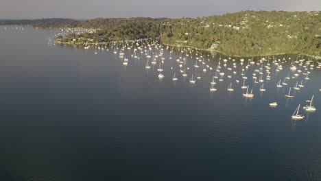 Weiße-Segelboote-Schwimmen-In-Den-Ruhigen-Gewässern-Von-Pittwater-In-Sydney,-New-South-Wales,-Australien