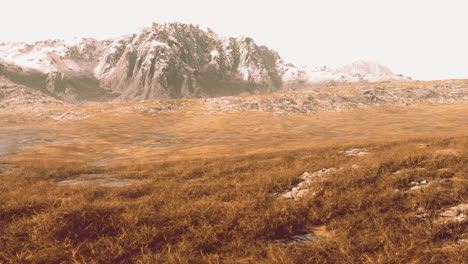 schöne felsen in der provinz afghanistan mit trockenem gras