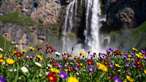waterfall and flowers in nature