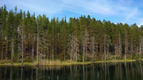 aerial view of the lake and forest in finland. beautiful nature of finland.