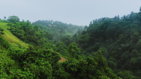 Cinematic-drone-shot-of-an-exotic-tropical-rainforest-valley