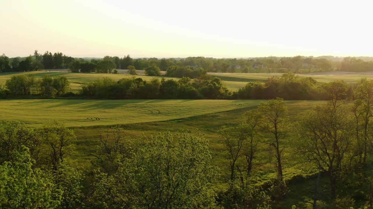 Rolling hills, green farm crop fields during magic hour, beautiful scenic setting, aerial drone view