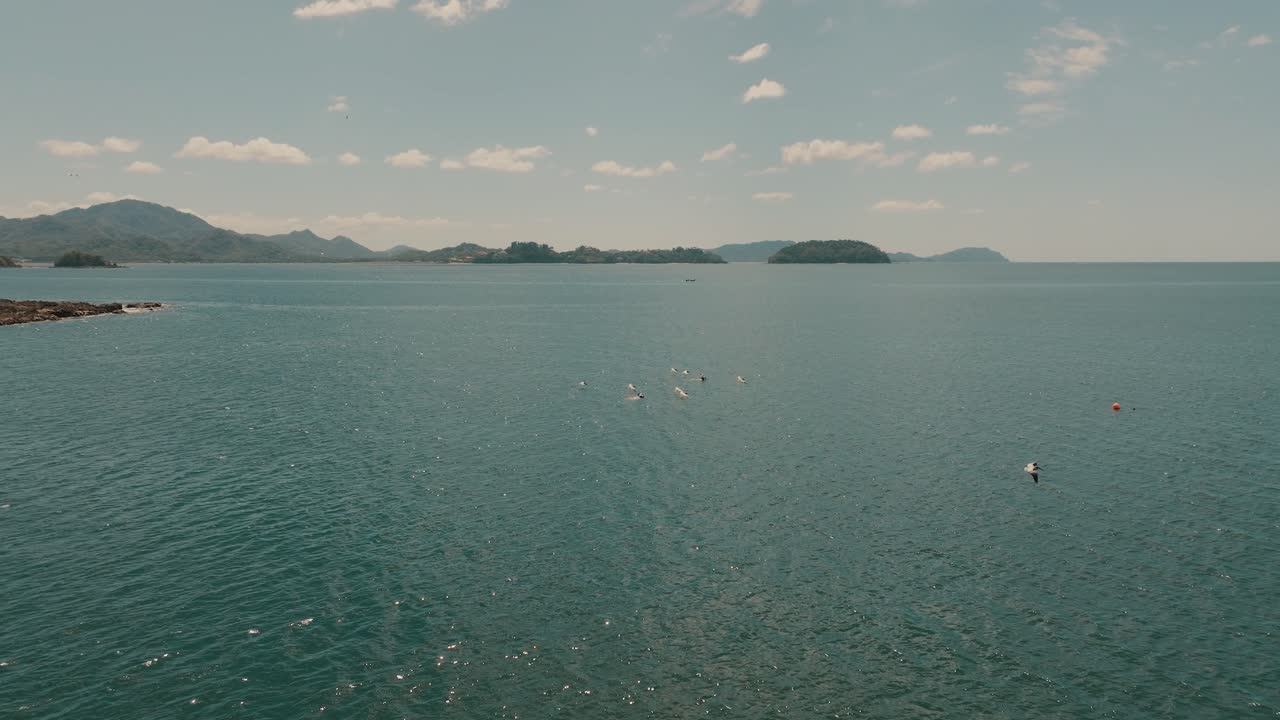 코스타리카의 바닷물에 바닷새 무리 - 공중 드론 샷