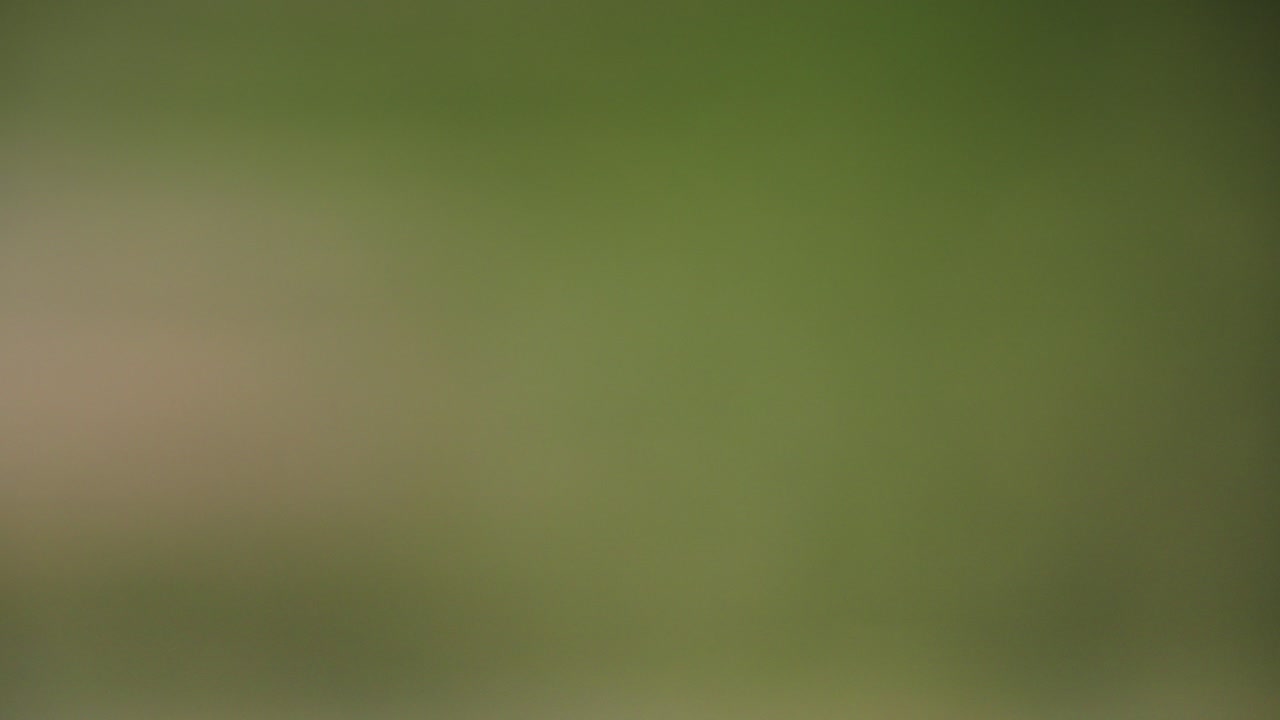 fondo verde borroso