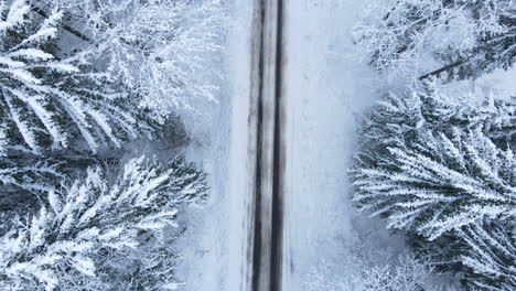 aerial view of an empty snowy one line road covered with snow in the winter forest, on a cloudy, winter day - drone flying forward along the road, top-down view