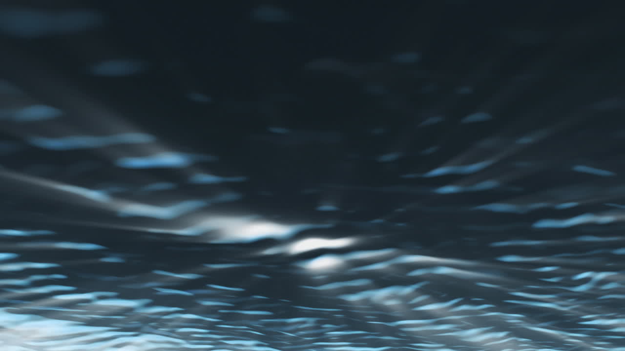 물 에서 쳐다보는 것