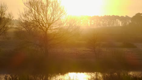 fast moving video of a beautiful golden sunrise over the nunnery lake in thetford, norfolk, uk with fog swiftly passing by on an autumnal morning